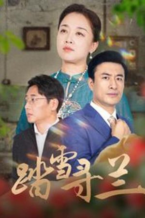 Poster phim Tìm Hoa Lan Trong Tuyết