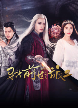 Poster phim Tìm kiểm vận mệnh 2