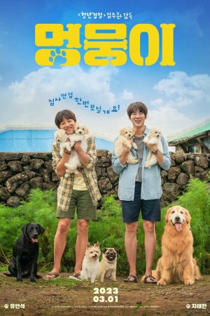 Poster phim Tìm Nhà Cho Boss