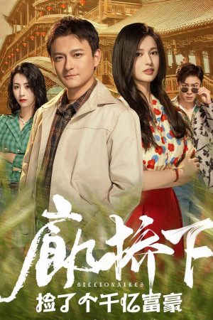 Poster phim Tìm Thấy Tỷ Phú Dưới Cầu
