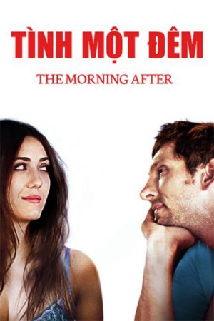 Poster phim Tình Một Đêm