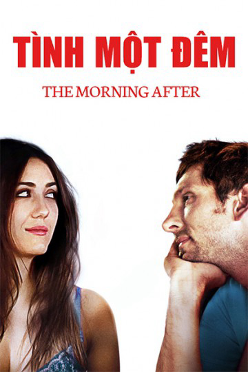Poster phim Tình một đêm