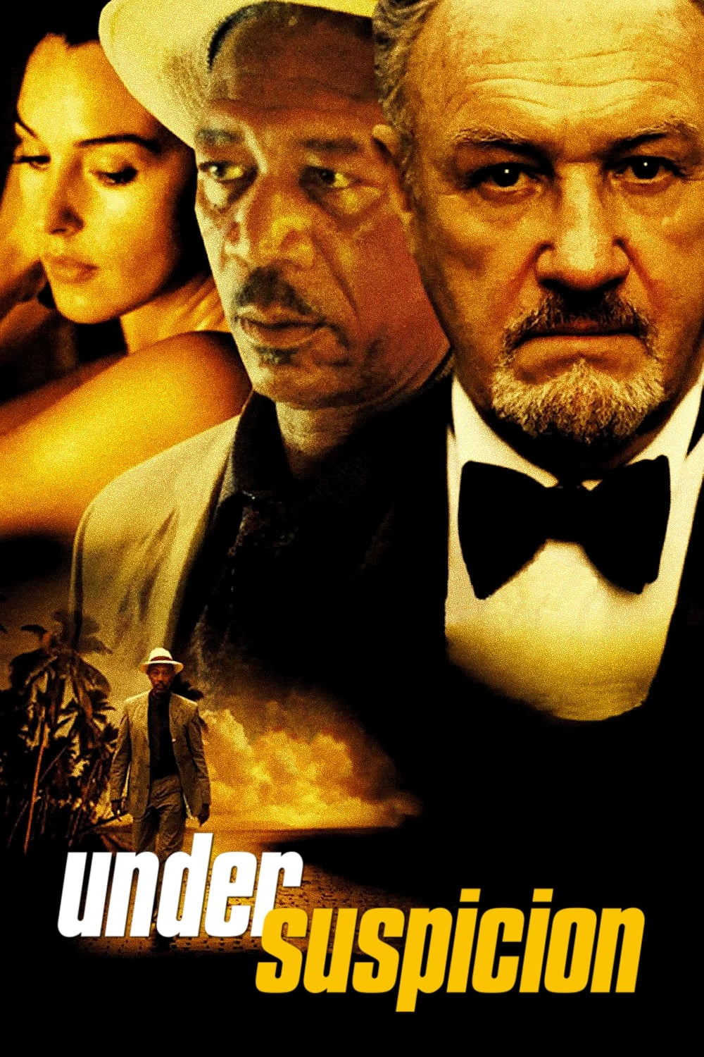 Poster phim Tình nghi