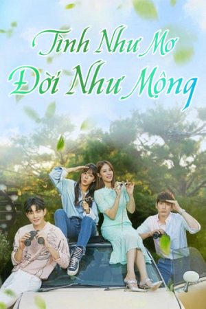 Poster phim Tình Như Mơ Đời Như Mộng