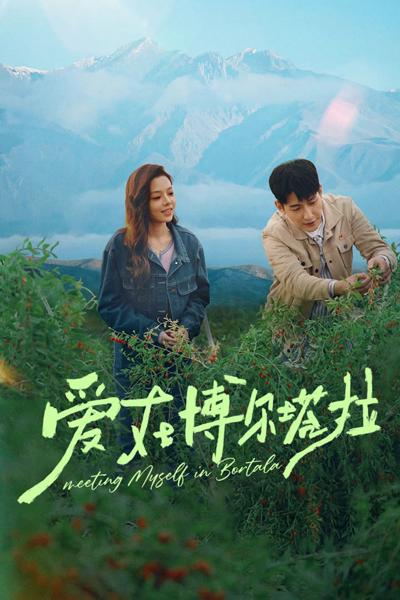Poster phim Tình Yêu Ở Bortala