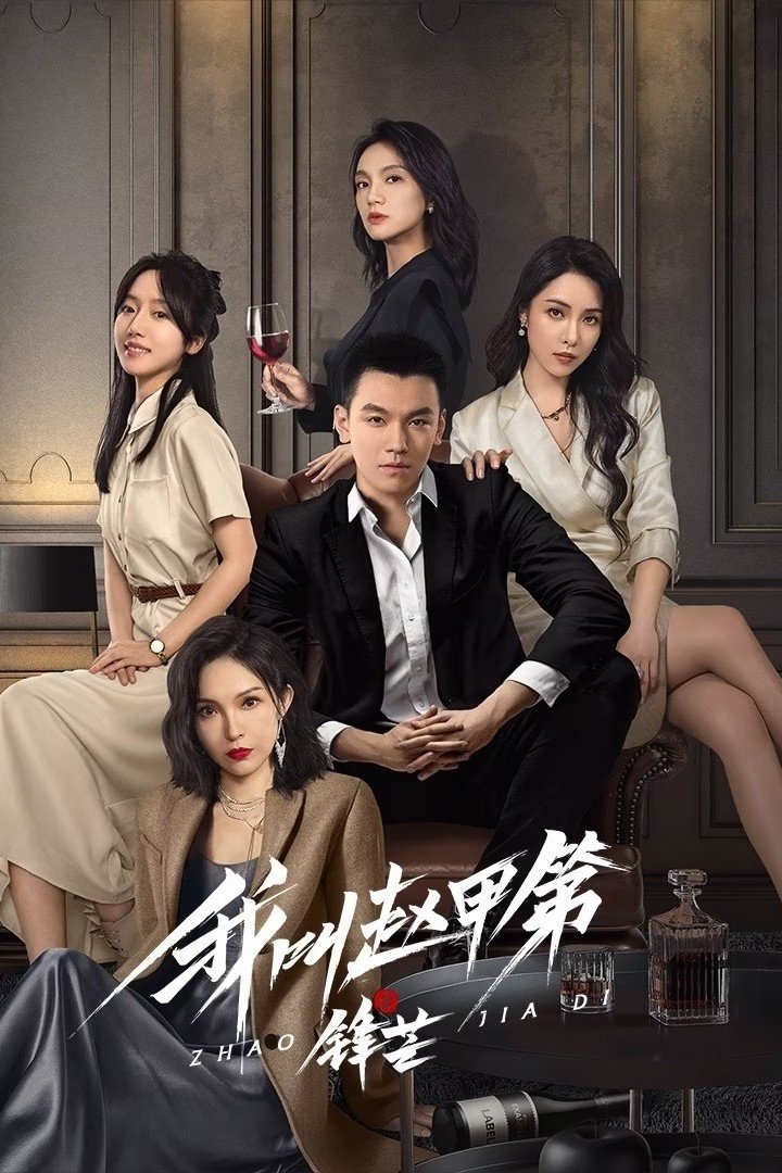 Poster phim Tôi Là Triệu Giáp Đệ: Phong Mang