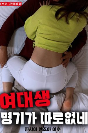 Poster phim Trao Đổi Người Yêu Với Em Họ