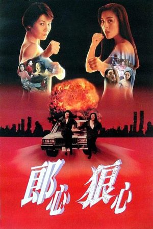 Poster phim Women on the Run