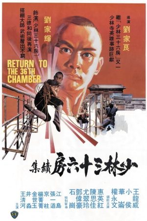 Poster phim Trở Lại Thiếu Lâm Tam Thập Lục Phòng