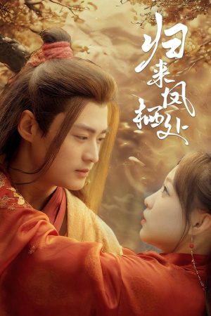 Poster phim Trở Về Nơi Phượng Hoàng Cư Trú