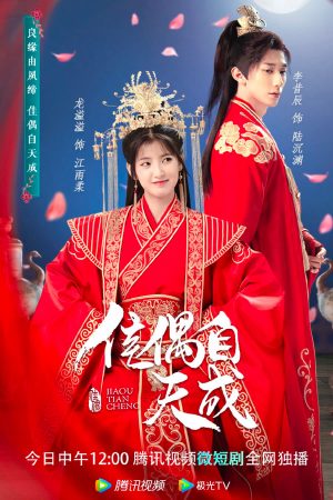 Poster phim Trời Sinh Một Cặp