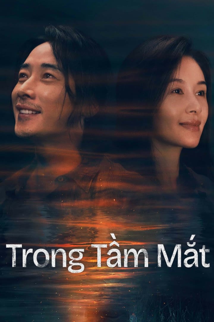 Poster phim Trong Tầm Mắt