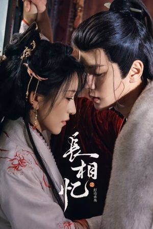 Poster phim Trường Tương Ức
