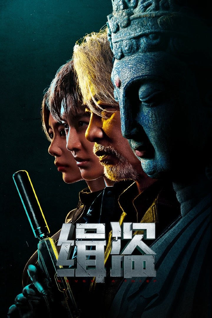 Poster phim Truy Bắt Đạo Tặc