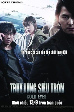 Poster phim Truy Lùng Siêu Trộm