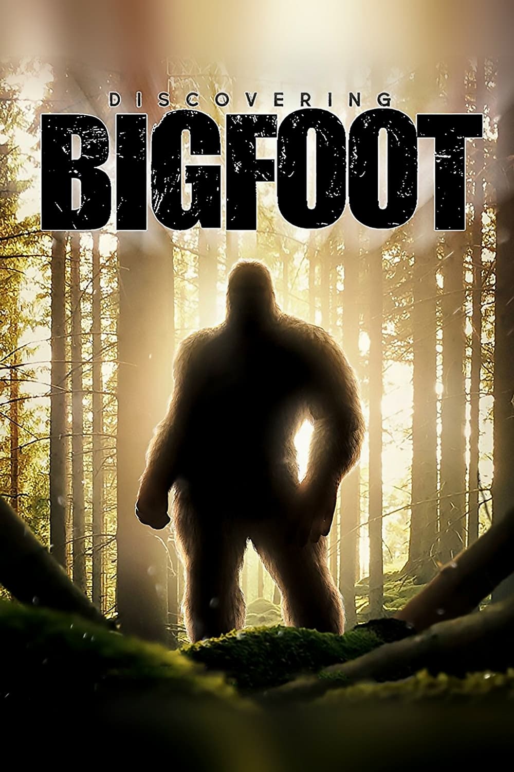 Poster phim Truy Tìm Bigfoot