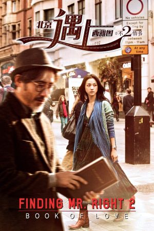 Poster phim Truy Tìm Người Hoàn Hảo 2 : Cuốn Sách Tình Yêu