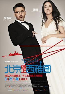 Poster phim Truy tìm người hoàn hảo