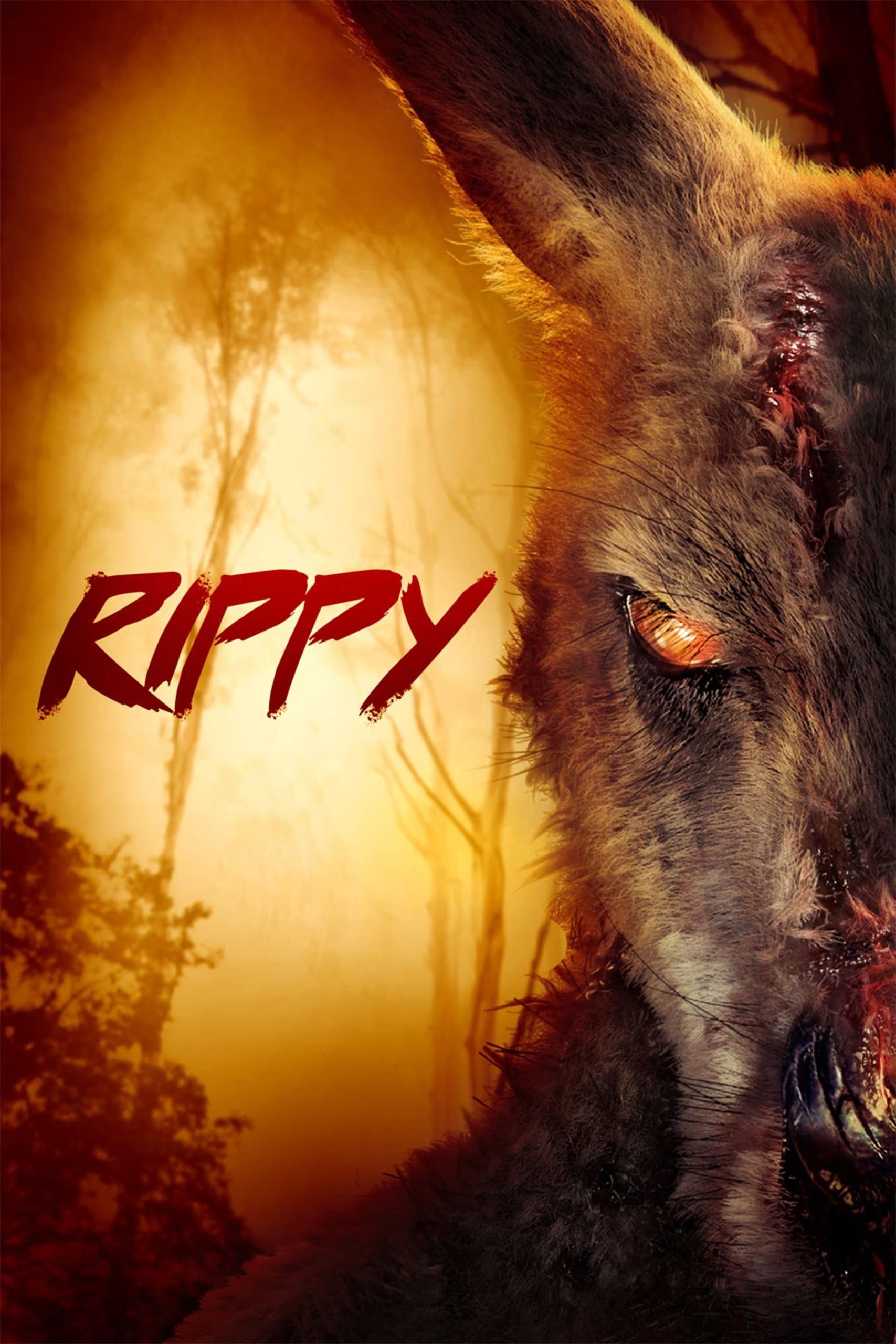 Poster phim Rippy