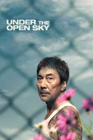 Poster phim Under The Open Sky