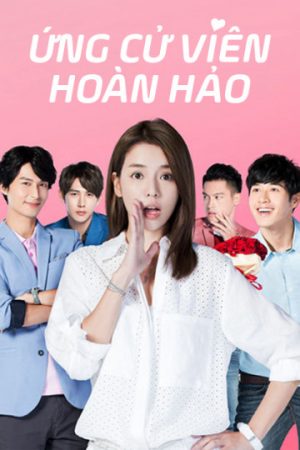 Poster phim Ứng Cử Viên Hoàn Hảo