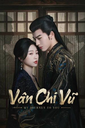 Poster phim Vân Chi Vũ