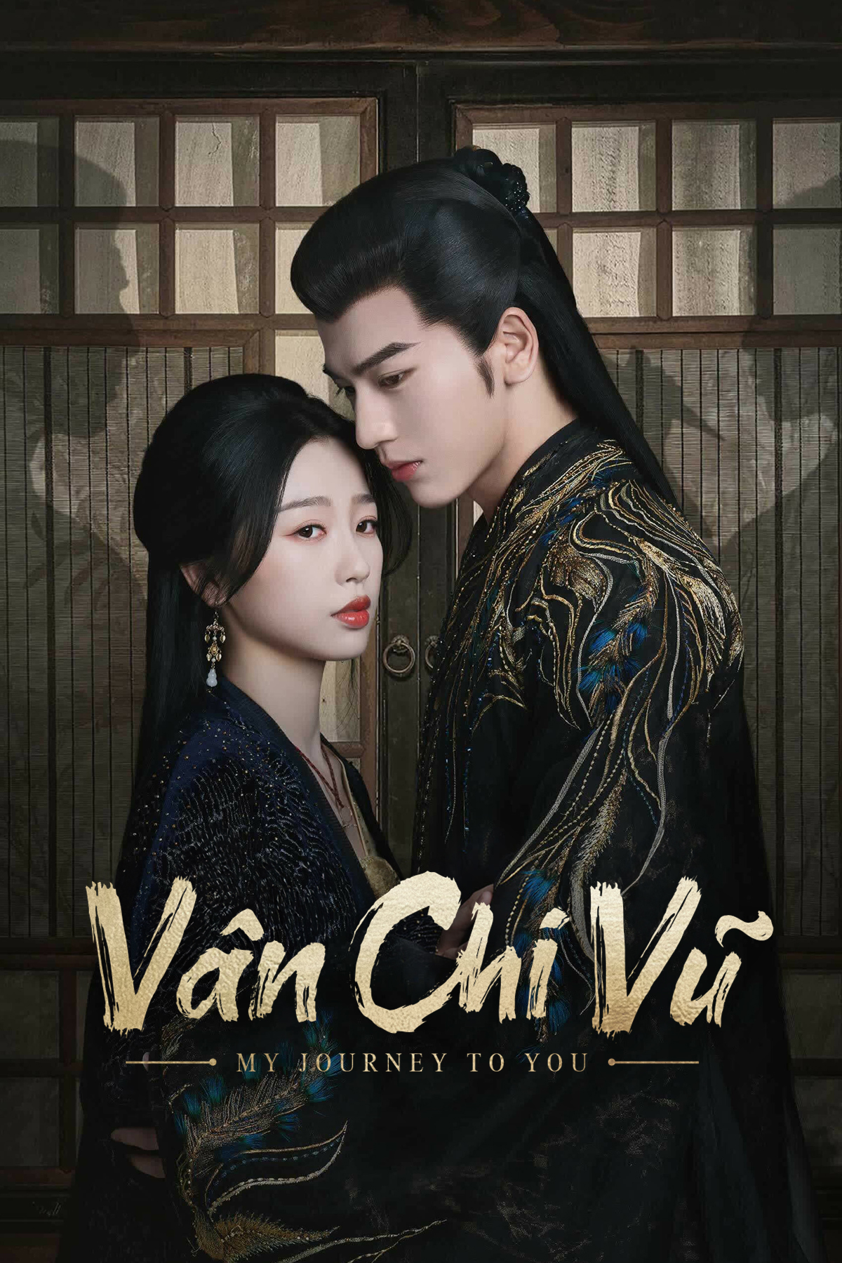 Poster phim Vân Chi Vũ