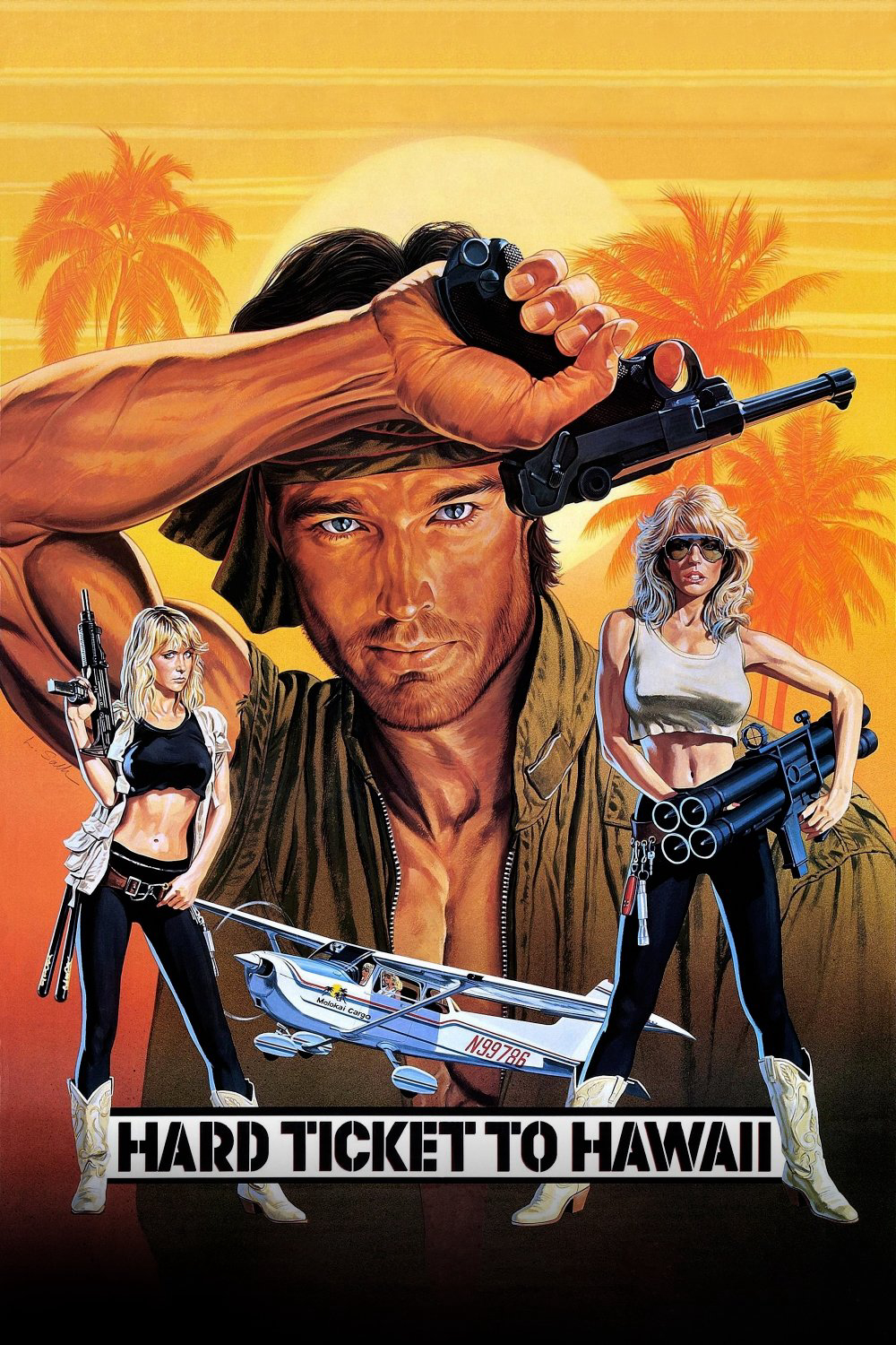 Poster phim Vé cứng đến Hawaii