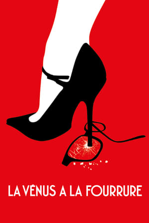 Poster phim Vệ nữ áo lông