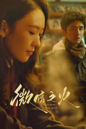 Poster phim Vi Ám Chi Hoả