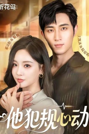 Poster phim Vi Phạm Vì Yêu
