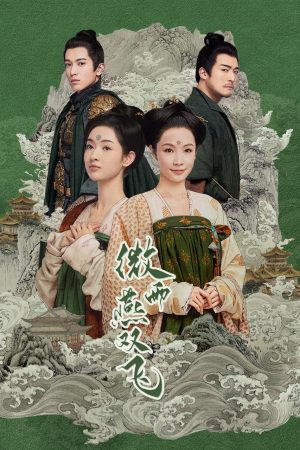 Poster phim Vi Vũ Yến Song Phi