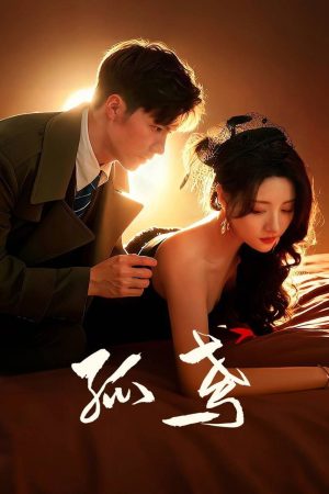 Poster phim Vỏ Bọc