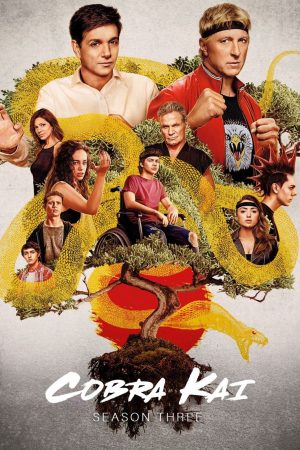 Poster phim Võ Đường Cobra Kai (Phần 3)