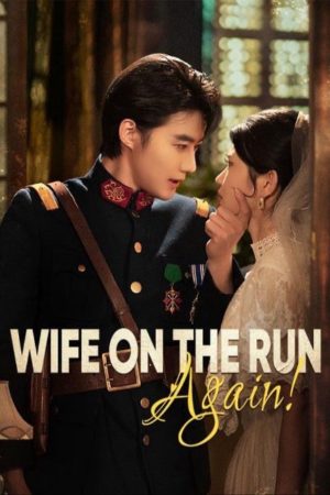 Poster phim Vợ lại bỏ trốn