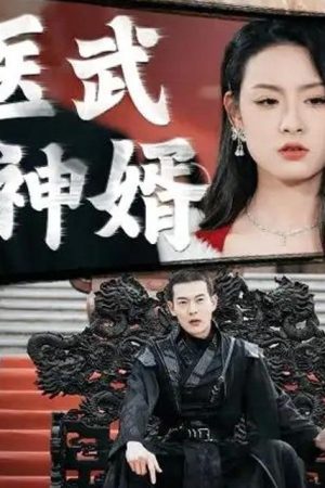 Poster phim Võ Tế Thần Y