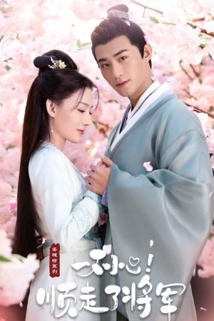 Poster phim Vô Tình Phải Lòng Tướng Quân (Trộm Phải Tim Chàng)