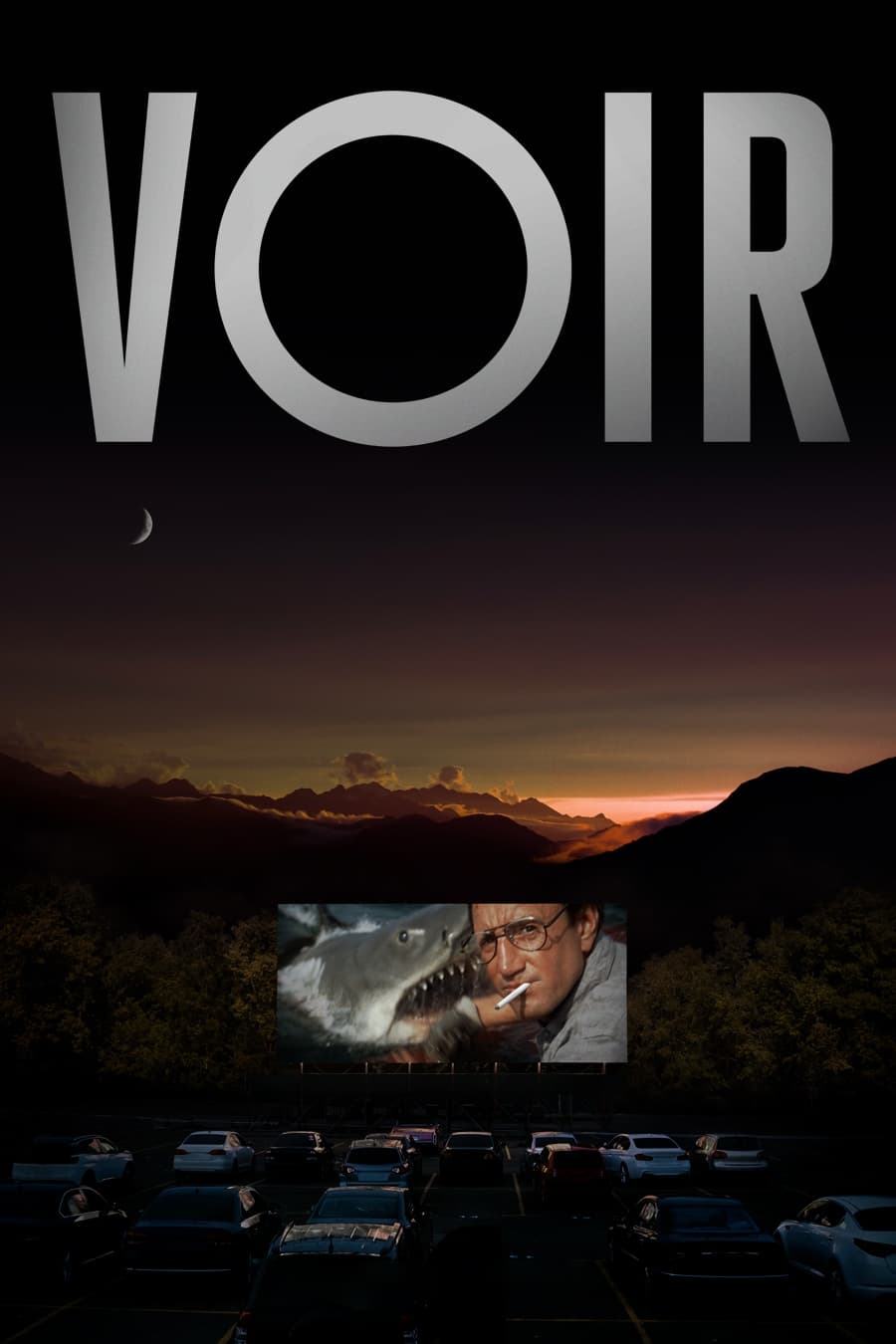 Poster phim Voir: Góc nhìn về điện ảnh