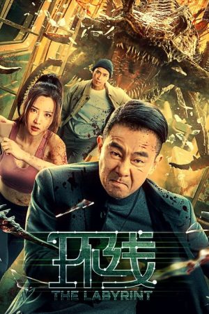 Poster phim Vòng Lặp