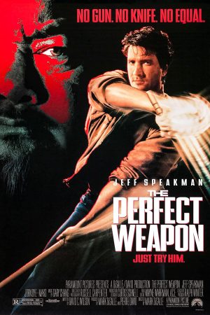 Poster phim Vũ Khí Hoàn Hảo