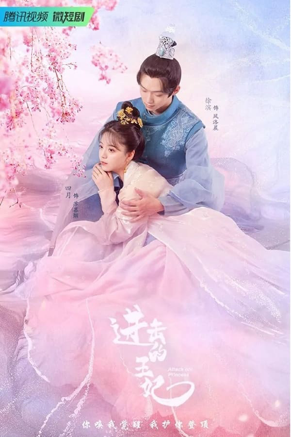 Poster phim Vương Phi Tiến Công