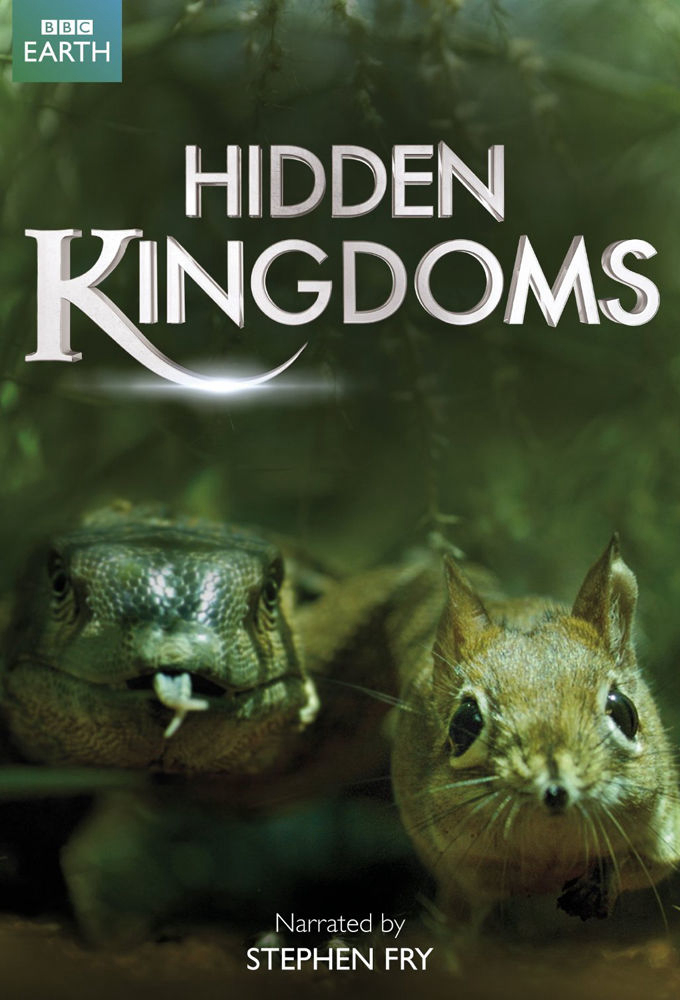 Poster phim Vương Quốc Ẩn Giấu
