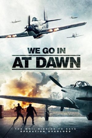 Poster phim We go in at Dawn