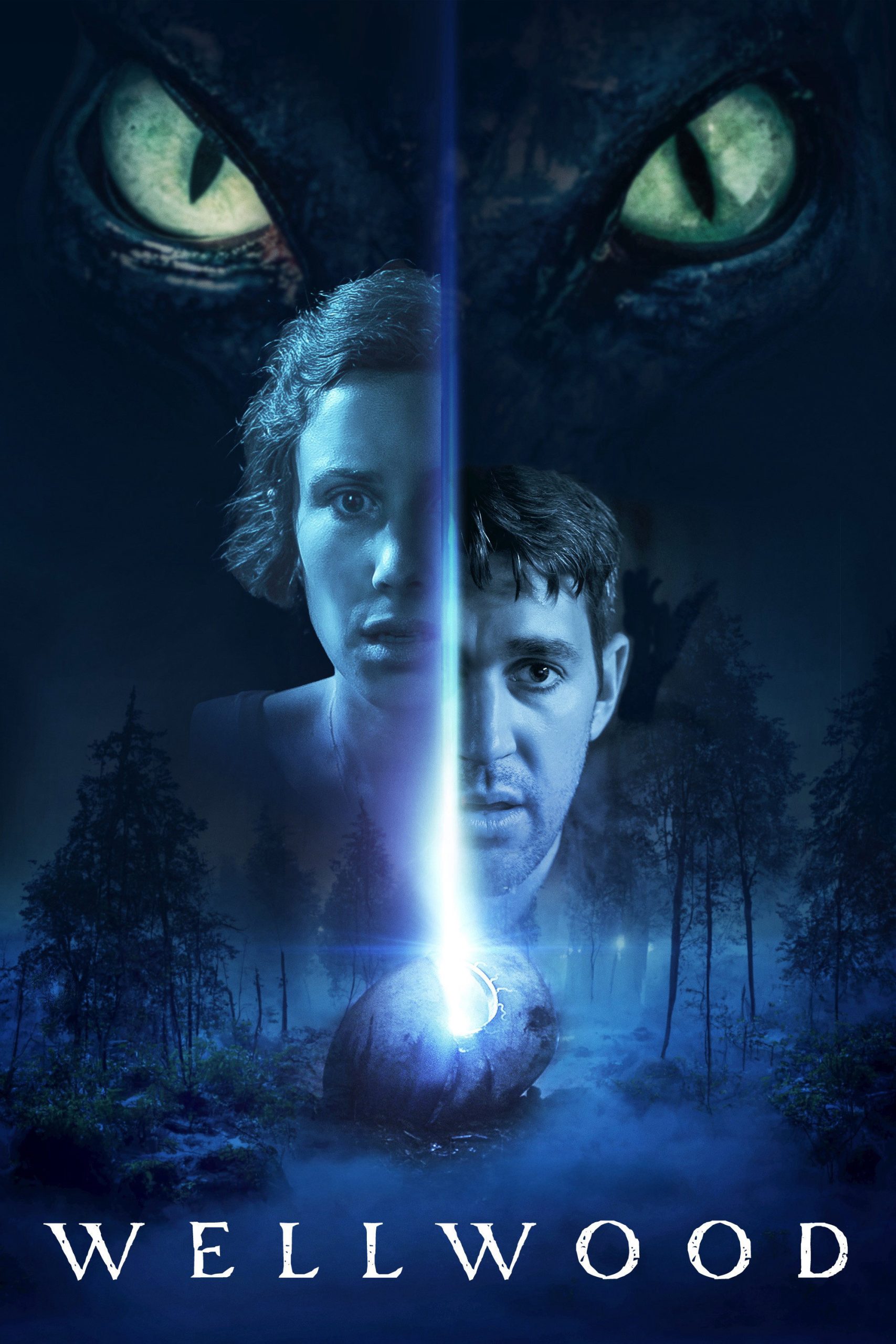Poster phim Wellwood