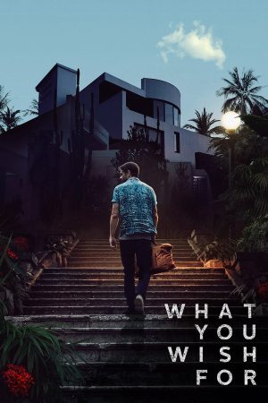 Poster phim What You Wish For