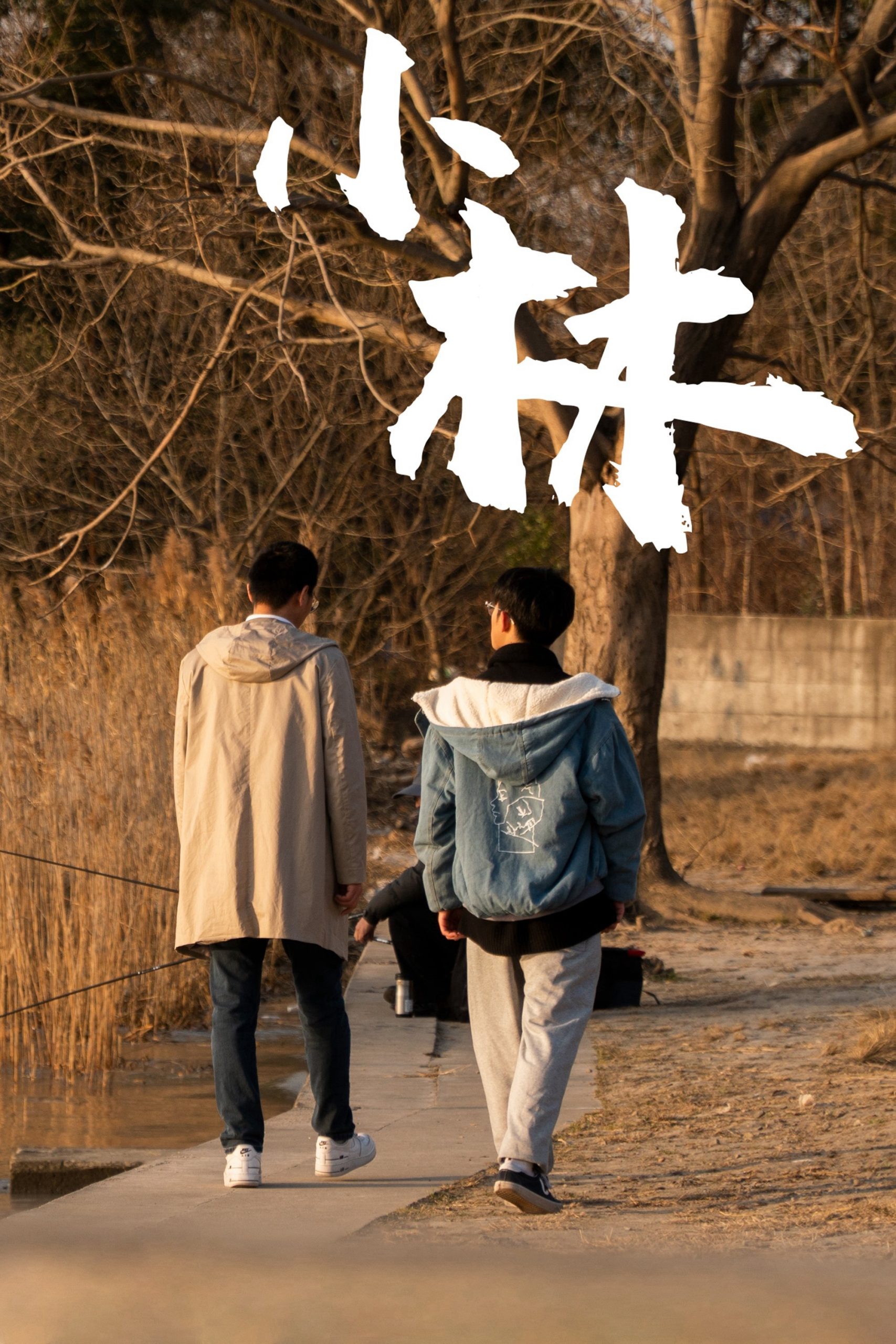 Poster phim Xiao Lin