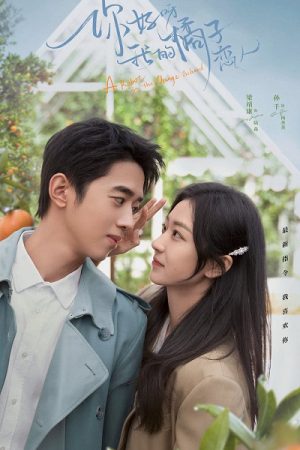 Poster phim Xin Chào, Người Yêu Quất Tử Của Tôi