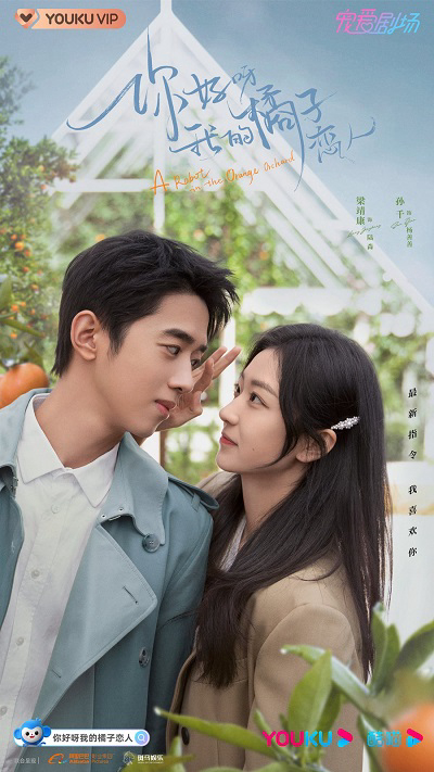 Poster phim Xin Chào, Người Yêu Quất Tử Của Tôi