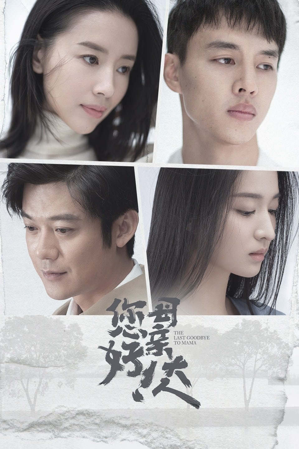 Poster phim Xin Chào, Tạm Biệt Mẹ