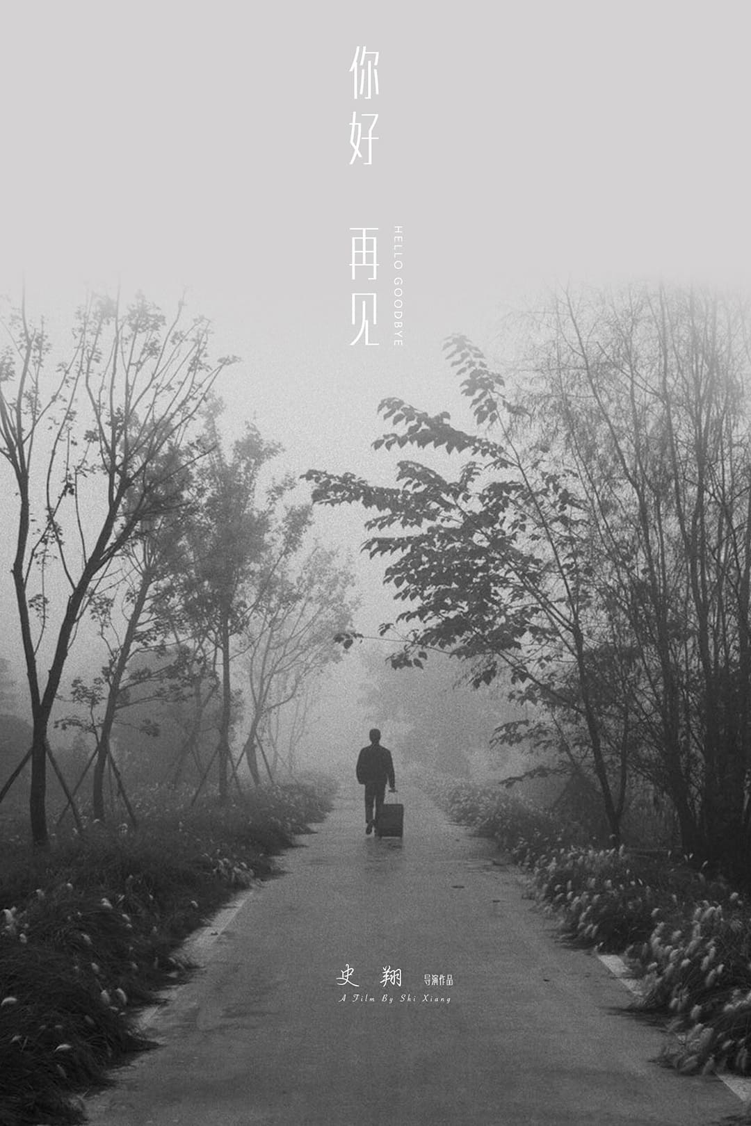 Poster phim Xin chào! Tạm biệt